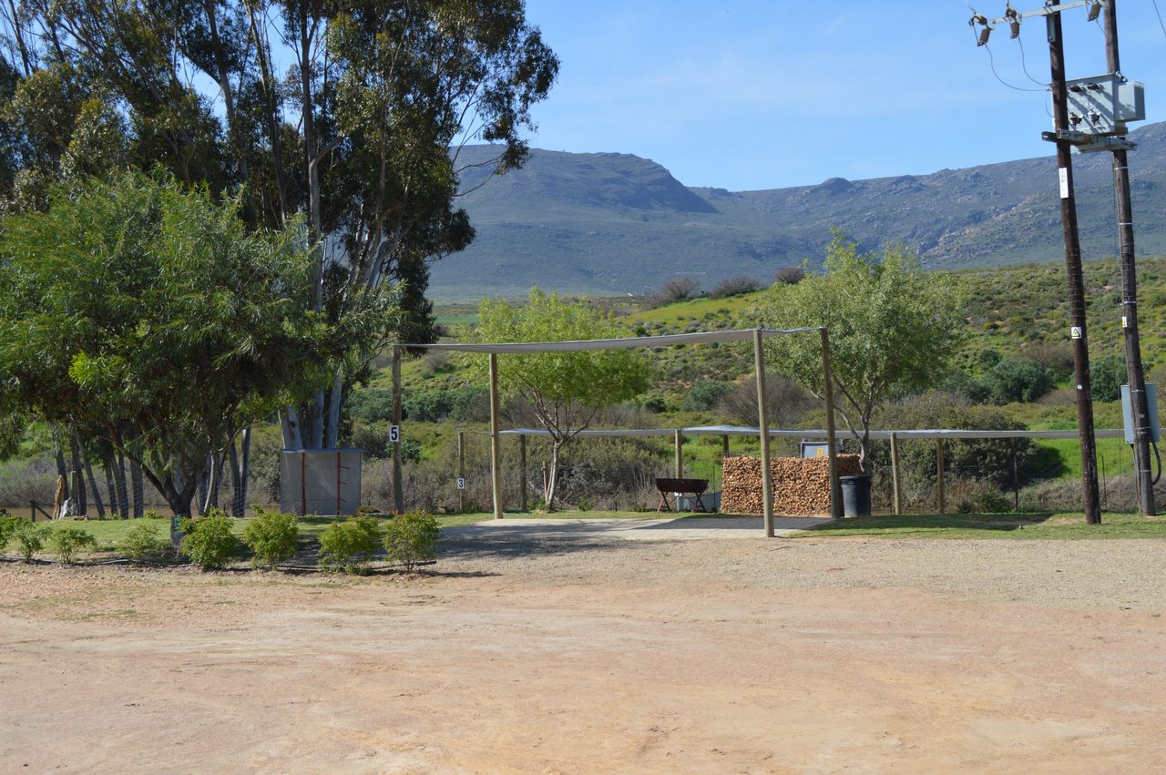 Picture of Bloekompark no. 5